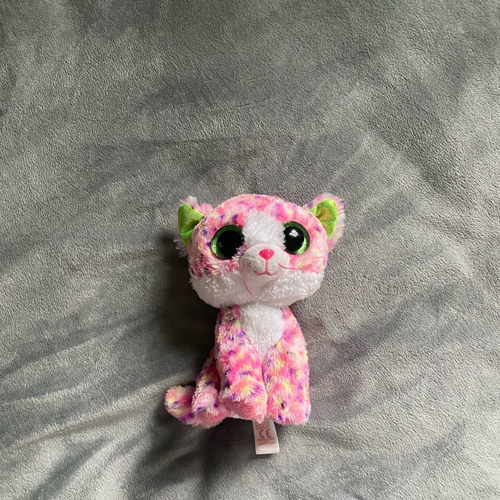 Beanie Boo